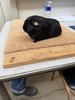 thumbnail_IMG_5613