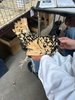 thumbnail_IMG_3631