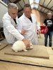 IMG_8114