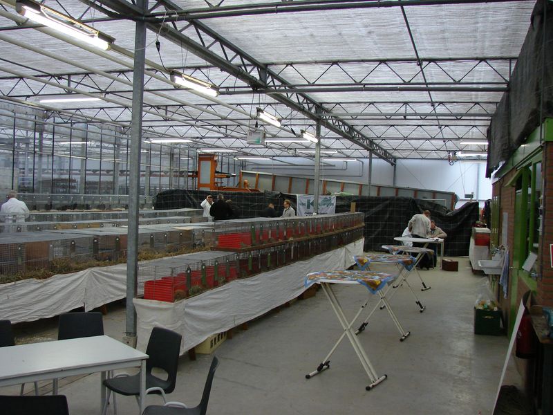 Overzicht van de tentoonstelling